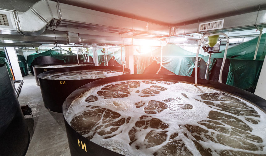 Clean water and tank cleaning service