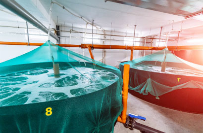 Water storage tanks in a facility